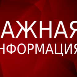 Сертификат дополнительного образования в Ростовской области